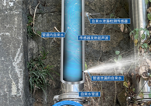 M26水聽(tīng)器 M26水聽(tīng)器